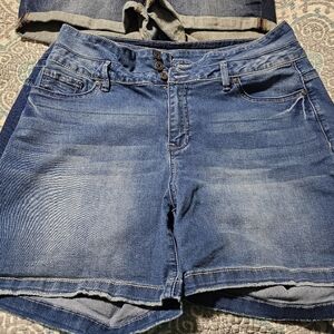 Suzanne Betro Shorts Sz 16